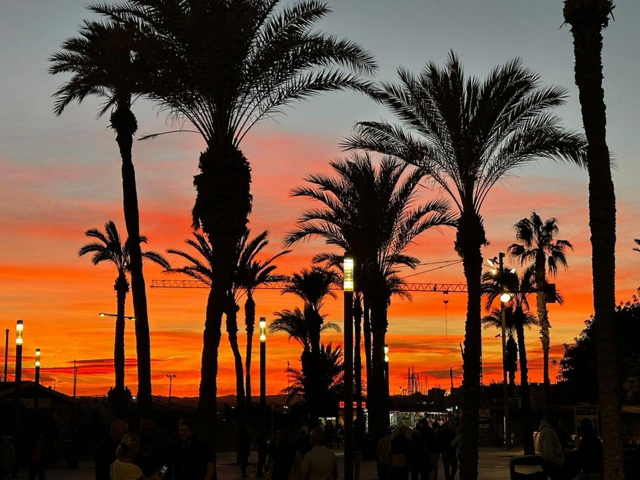 Apartment Radio Murcia Torrevieja Dış mekan fotoğraf
